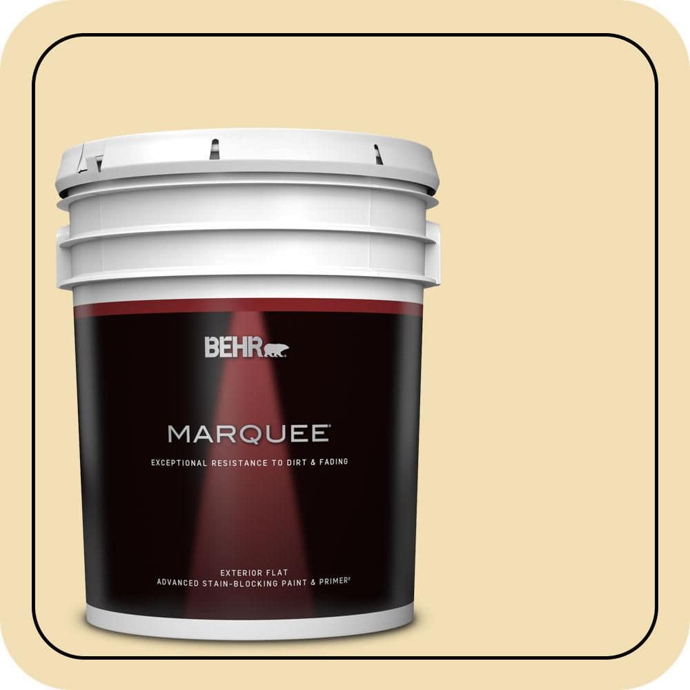 BEHR MARQUEE 5 gal. #PPU6-12 Calla Flat Exterior Paint & Primer