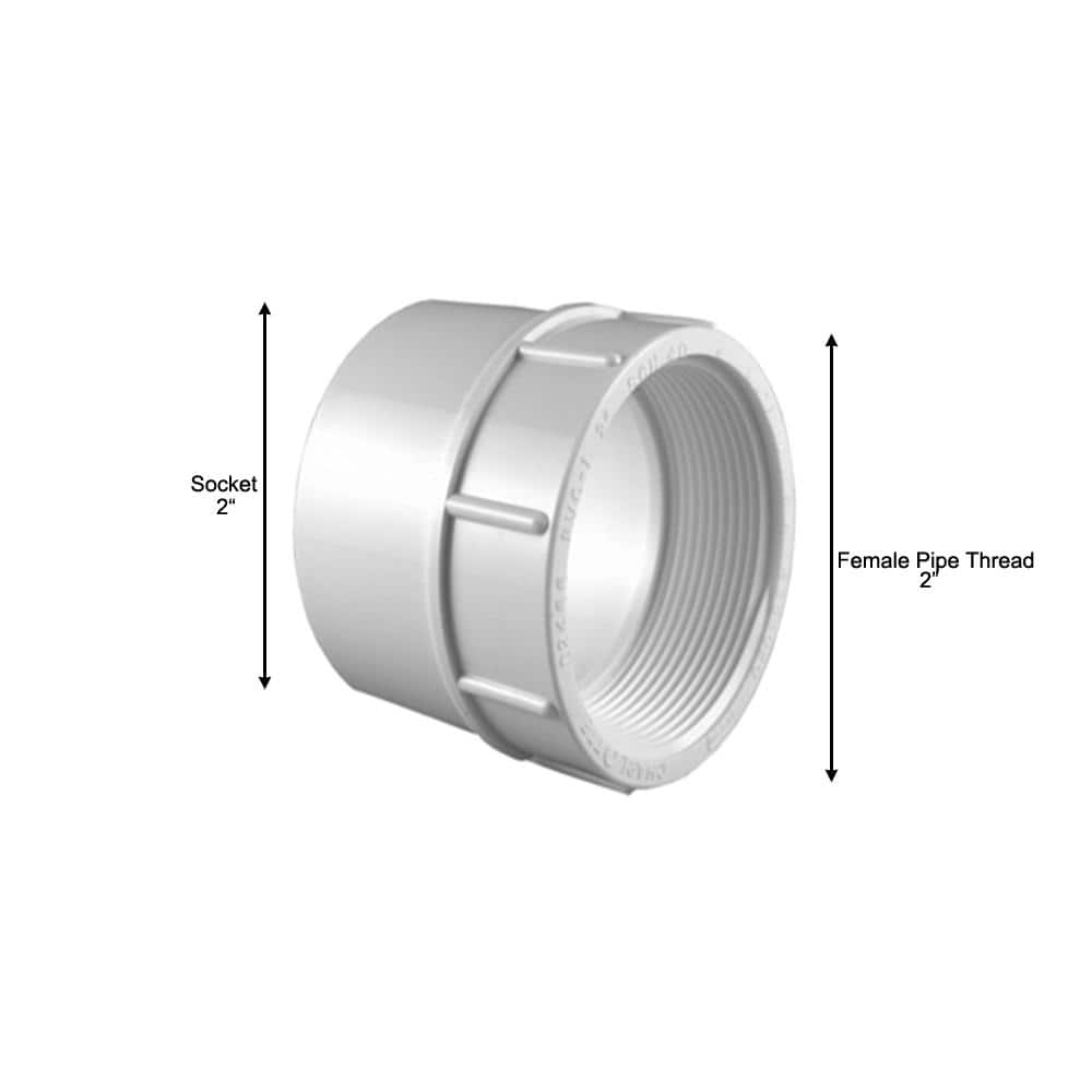 Charlotte Pipe 2 in. PVC Schedule 40 Female S x FPT Adapter (4)