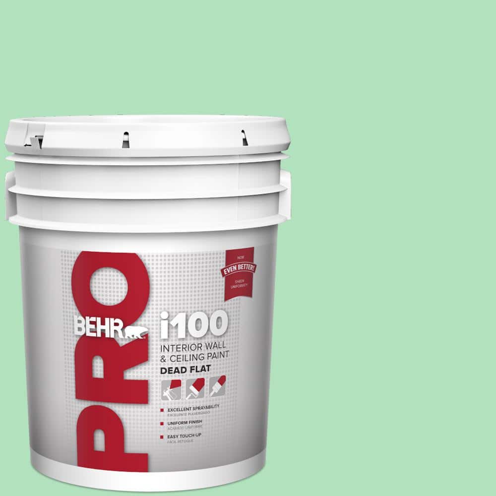 BEHR PRO 5 gal. #P400-3 Folk Tale Dead Flat Interior Paint (1)