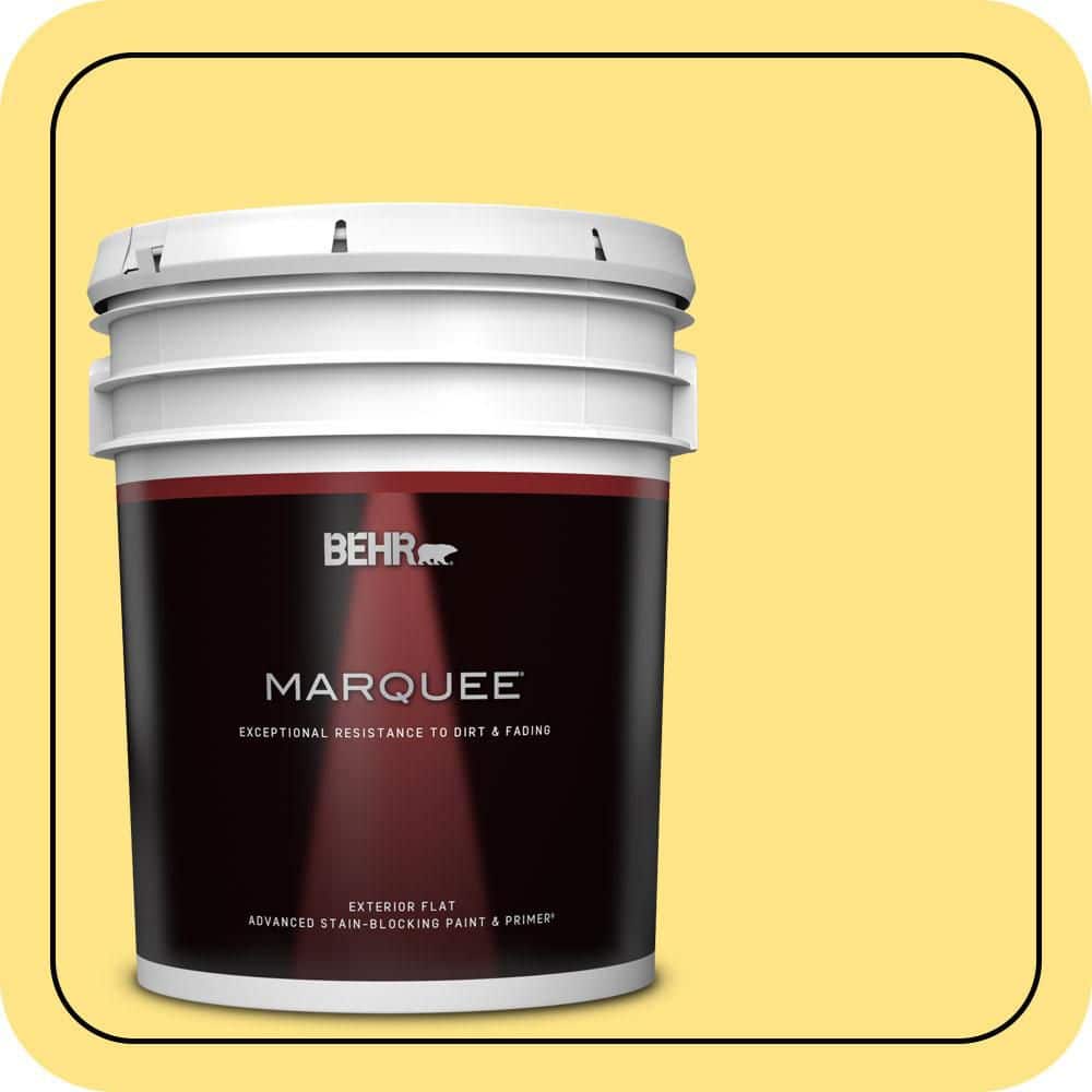 BEHR MARQUEE 5 gal. #P300-5 Upbeat Flat Exterior Paint & Primer