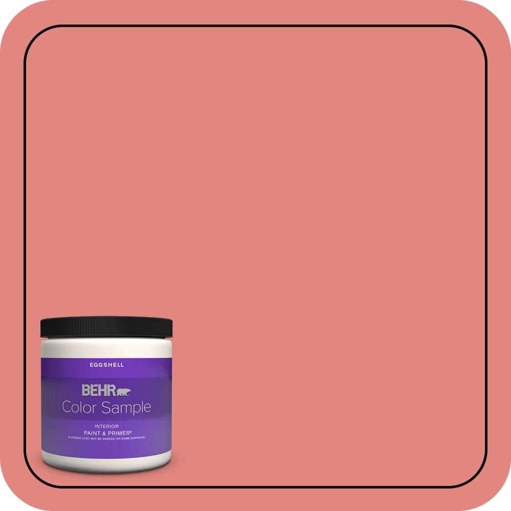 BEHR PREMIUM PLUS #PPU1-04A Watermelon Punch Enamel & Primer Color Sample (1)