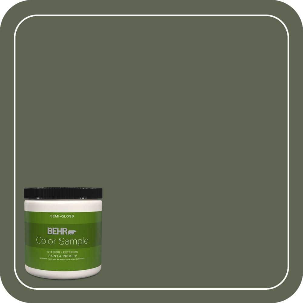 BEHR PREMIUM PLUS #N390-7 Cypress Vine Flat Interior/Exterior Paint & Primer Color Sample (1)