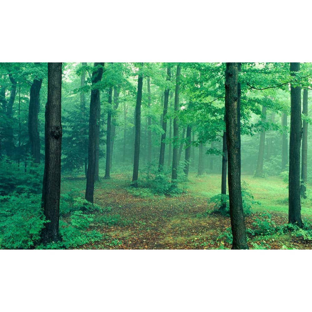 Biggies Path View - Weather Proof Scene for Window Wells or Wall Mural - 120 in. x 60 in