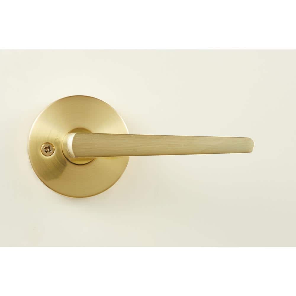 Global Door Controls Contra Series Light-Duty Residential Tubular Door Handle, Grade 3 Dummy in Satin Brass (3)