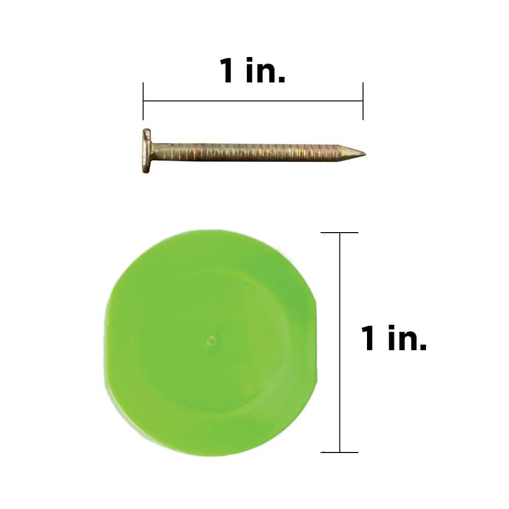 Stinger NailPac 1 in. x 14-Gauge 15 degree 304 Stainless Steel Collated Roofing Nail with Plastic Cap (2000-Pack) (2)