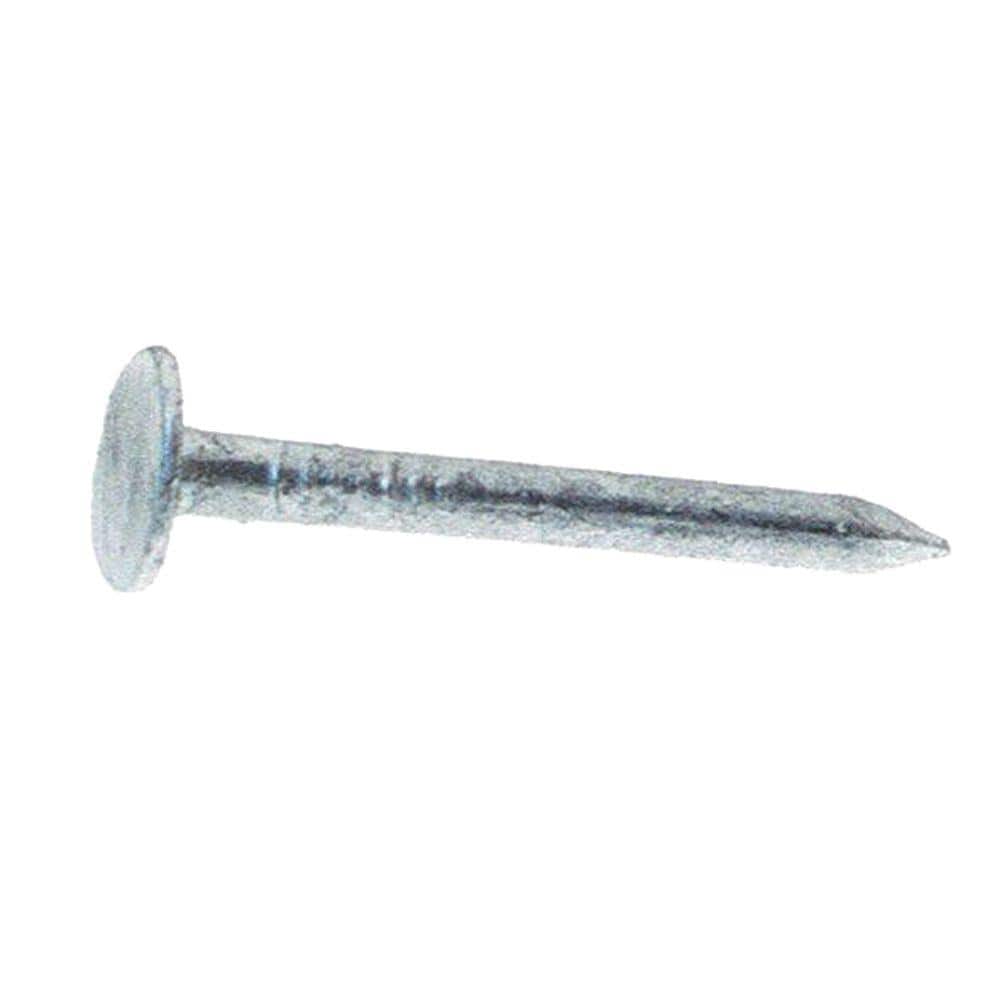 Grip-Rite 9-Gauge 10-penny Exterior Galvanized Steel Common Nails Box