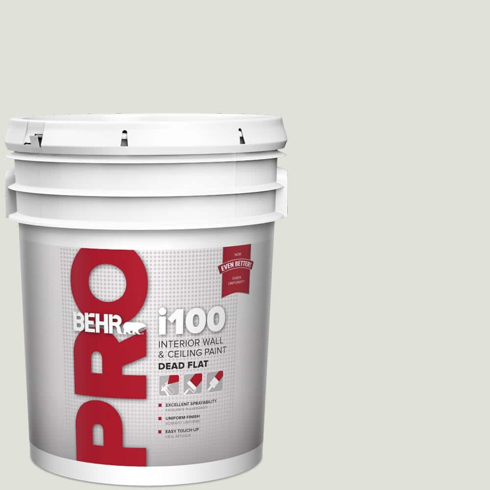 BEHR PRO 5 gal. #MQ3-45 Looking Glass Dead Flat Interior Paint (1)