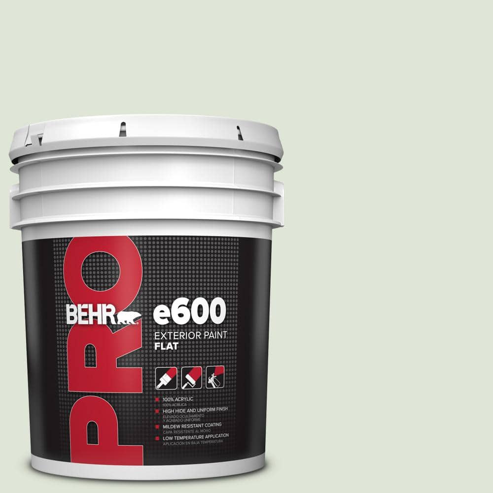 BEHR PRO 5 gal. #S390-1 Sounds of Nature Flat Exterior Paint
