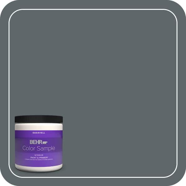BEHR PREMIUM PLUS 8 oz. #PPU25-20 Le Luxe Eggshell Enamel Interior Paint & Primer Color Sample (2)