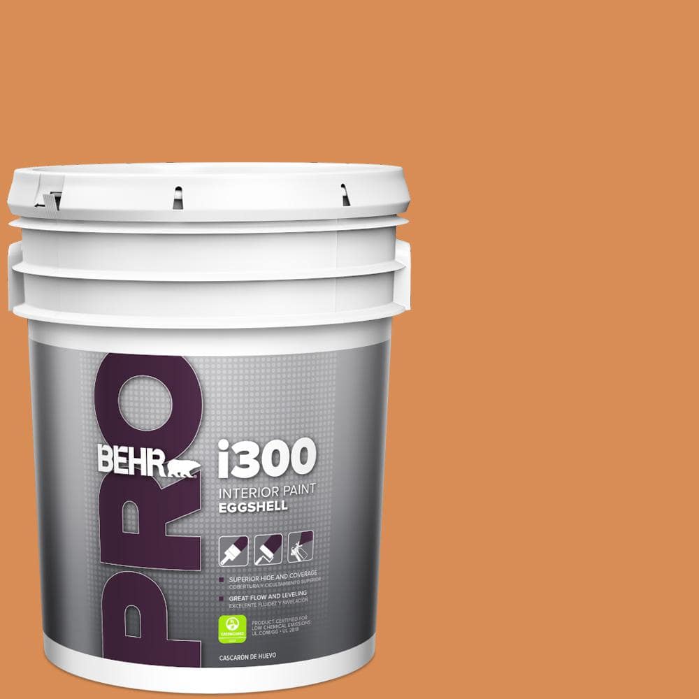 BEHR PRO 5 gal. #PMD-80 Spiced Pumpkin Eggshell Interior Paint