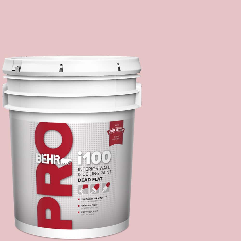 BEHR PRO 5 gal. #S140-2 Cranapple Cream Dead Flat Interior Paint
