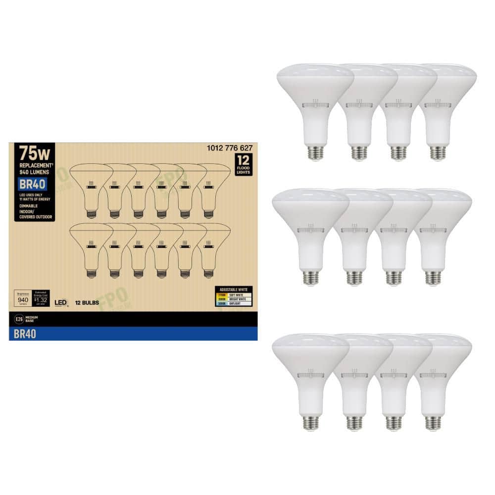 PRIVATE BRAND UNBRANDED 75-Watt Equivalent BR40 Dimmable LED Light Bulb With Selectable Color Temperature (12-Pack) (2)