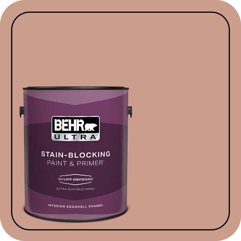 BEHR PREMIUM PLUS #210F-5 Artifact Enamel Interior/Exterior Paint & Primer Color Sample (1)
