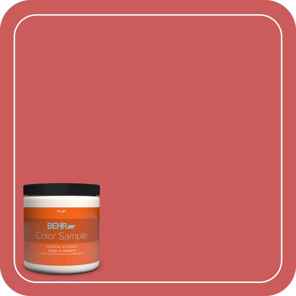 BEHR PREMIUM PLUS #P160-5 Pinkadelic Enamel Low Odor & Primer (1)