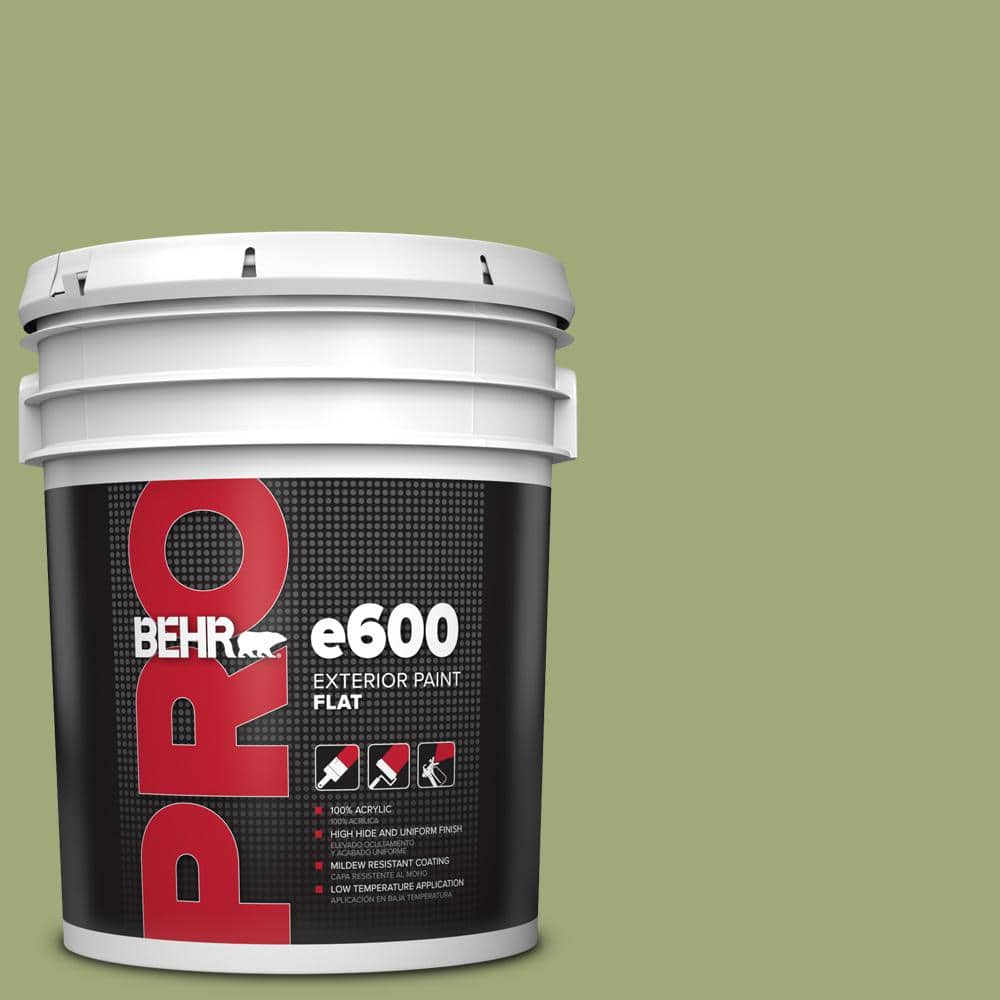 BEHR PRO 5 gal. #T18-16 Nurturing Flat Exterior Paint