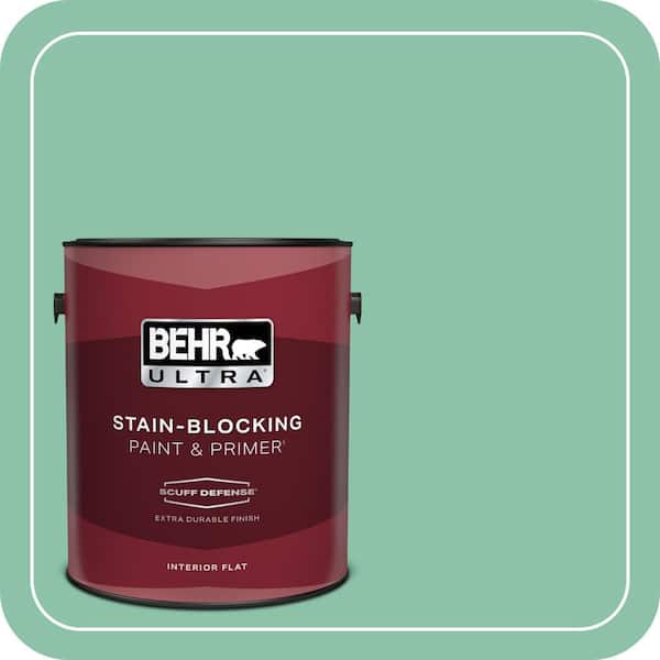 BEHR PREMIUM PLUS Home Decorators Collection #HDC-WR14-8 Spearmint Frosting Flat Interior/Exterior Paint & Primer Color Sample (3)
