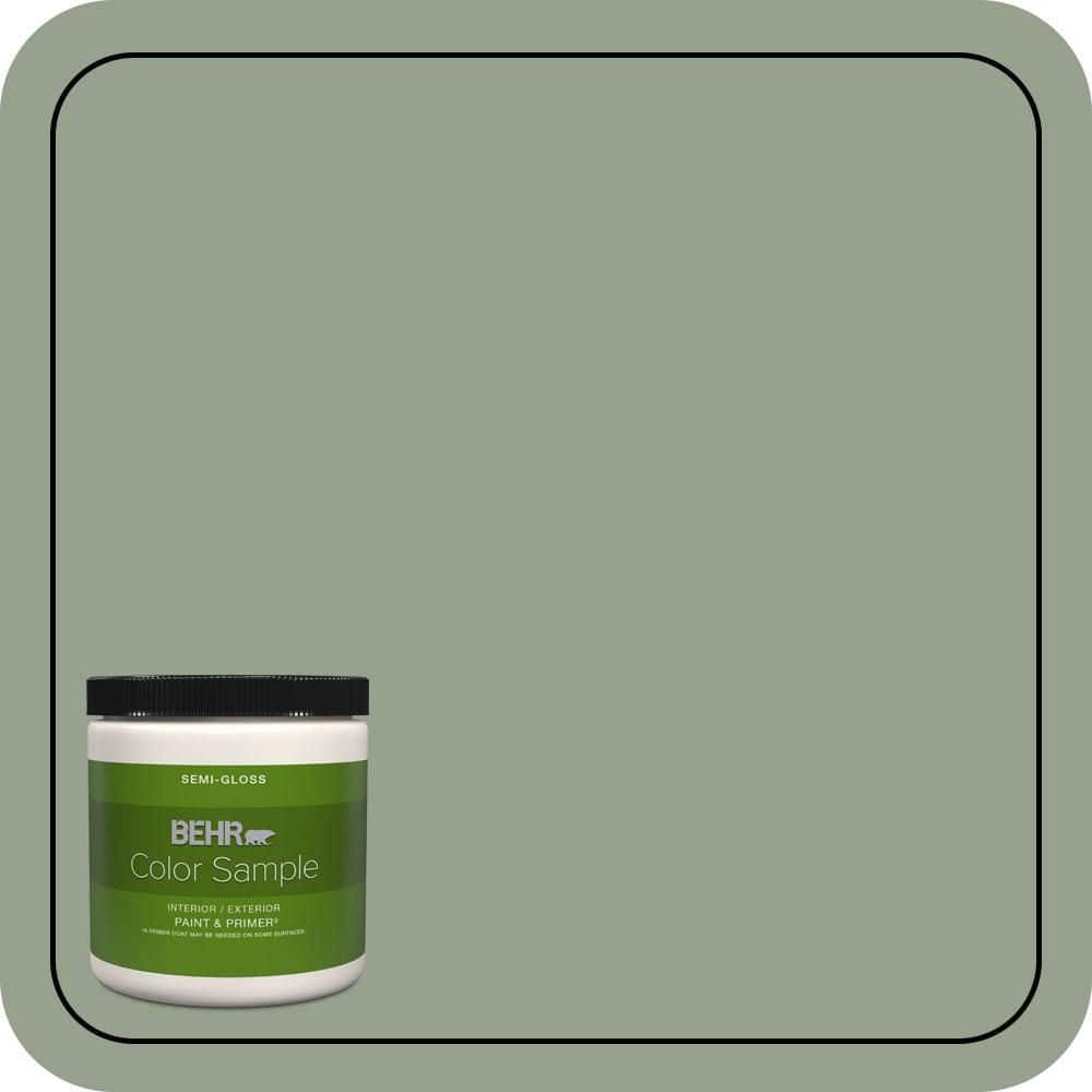 BEHR PREMIUM PLUS #N390-4 Bitter Sage Enamel & Primer Color Sample (1)