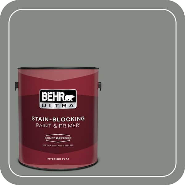 BEHR PREMIUM PLUS #710F-5 Valley Hills Interior/Exterior Paint & Primer Color Sample (3)