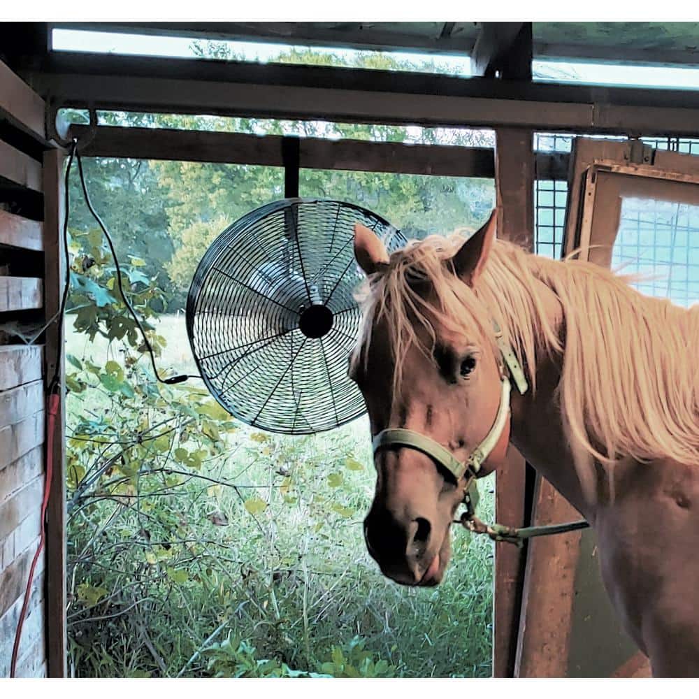 Hessaire 3000 CFM Black Industrial Livestock Cooling Fan (3)