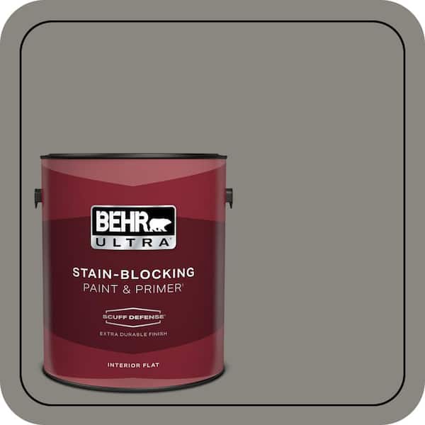 BEHR PREMIUM PLUS Home Decorators Collection #HDC-NT-23 Wet Cement Enamel & Primer Color Sample (2)