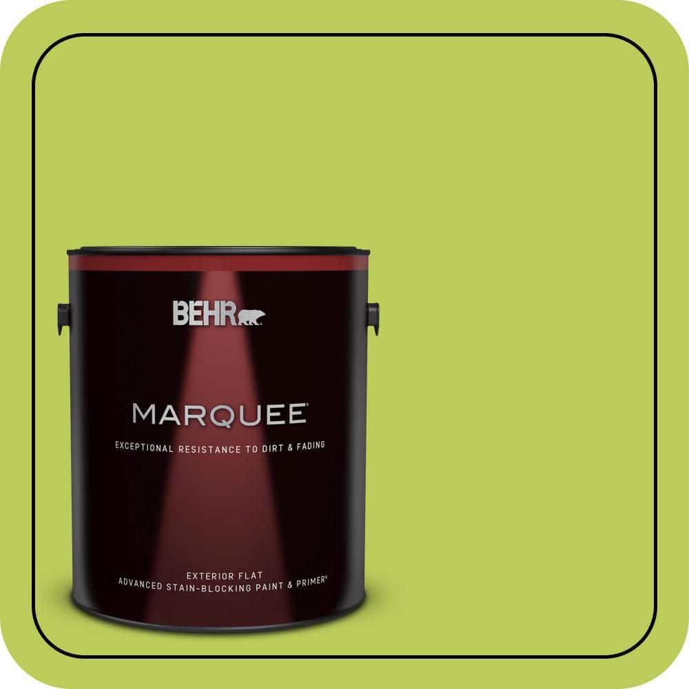 BEHR PREMIUM PLUS #410B-5 Hidden Meadow Enamel Low Odor & Primer (1)