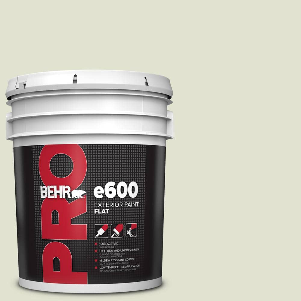 BEHR PRO 5 gal. #S370-1 Positive Energy Flat Exterior Paint
