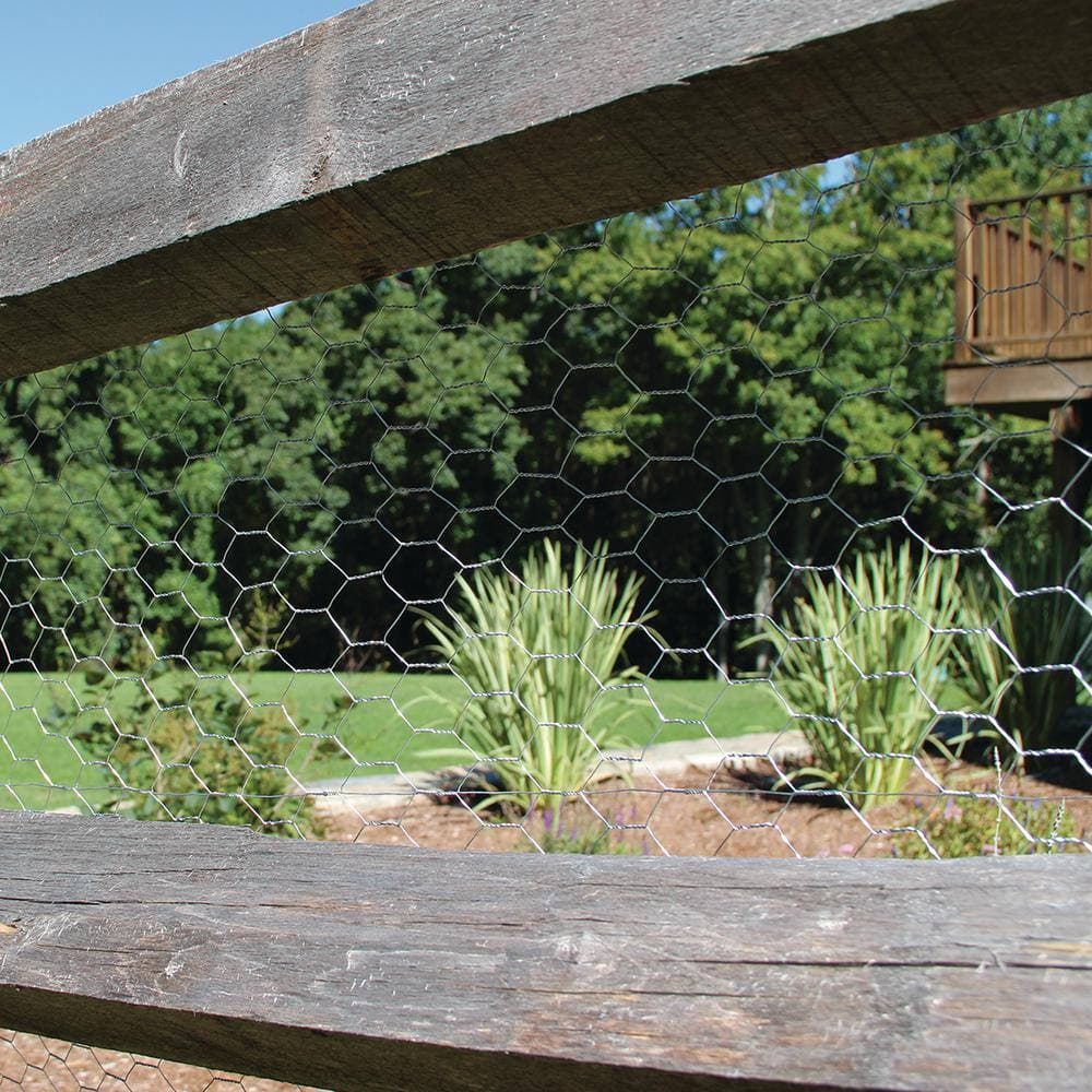 Garden Craft 60 in. H x 150 ft. L Chicken Wire with 2 in. Openings (3)