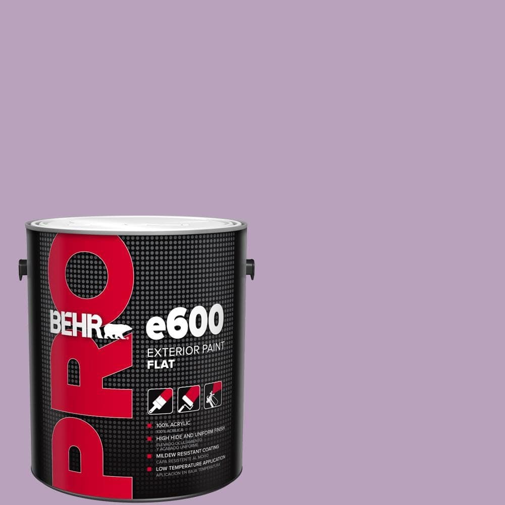 BEHR PRO 1 gal. #M100-3 Svelte Flat Exterior Paint