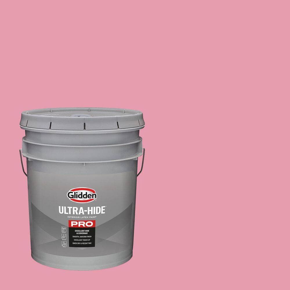 Glidden Ultra-Hide 5 gal. PPG1183-4 Brandywine Semi-Gloss Interior Paint