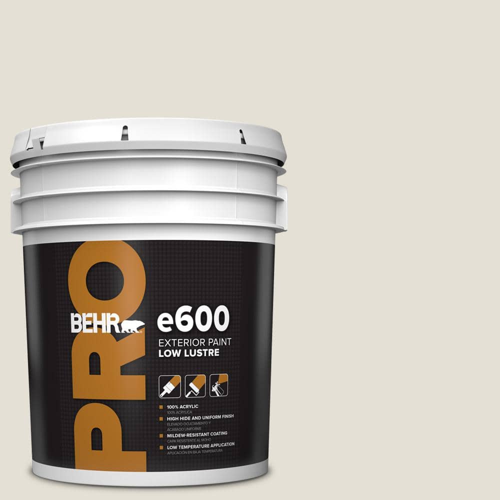 BEHR PRO 5 gal. #T18-09 Soft Focus Low Luster Exterior Paint