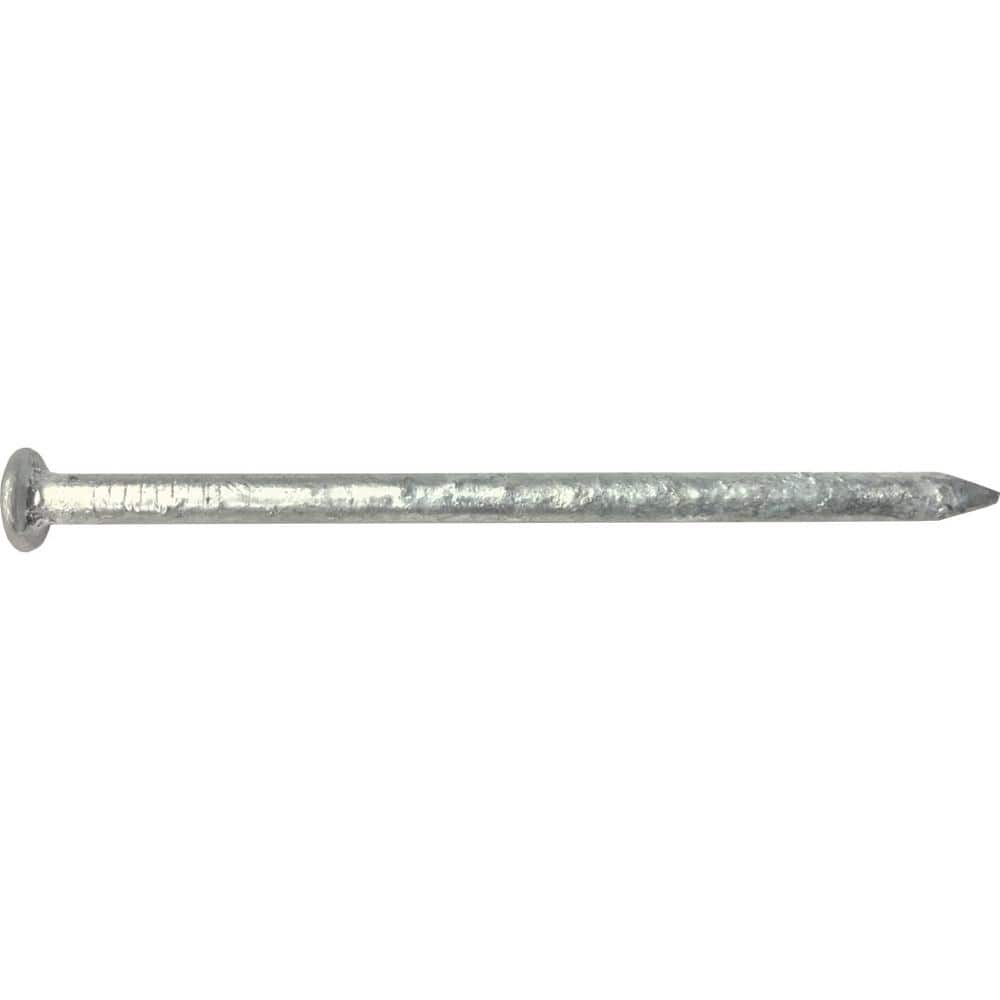 HUTTIG-GRIP 3-1/2 in. x 16D Hot Galvanized Common 50 lbs. Box