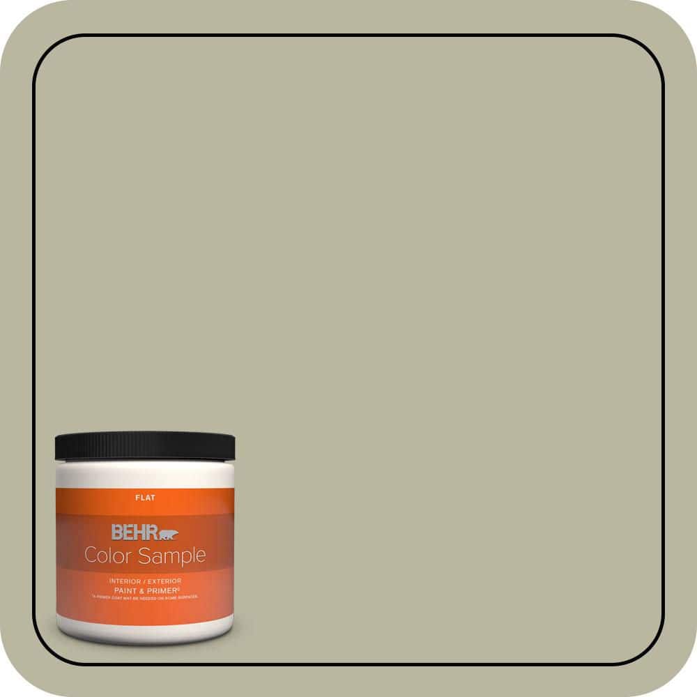 BEHR PREMIUM PLUS #QE-34 Court Green Interior/Exterior Paint & Primer Color Sample (1)