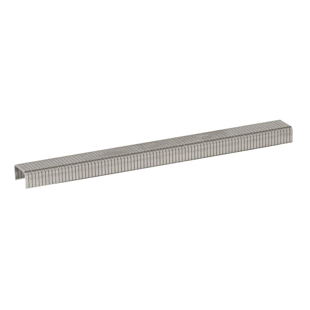 Arrow T50 1/4 in. Leg x 3/8 in. 504SS1 Medium Crown, 20-Gauge, Heavy-Duty, Stainless Steel Staples (1,000-Pack) (1)