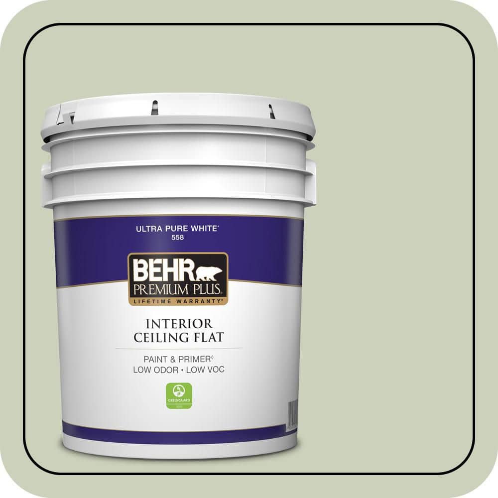 BEHR PREMIUM PLUS 5 gal. #PPU10-09 Chinese Jade Ceiling Flat Interior Paint & Primer (1)