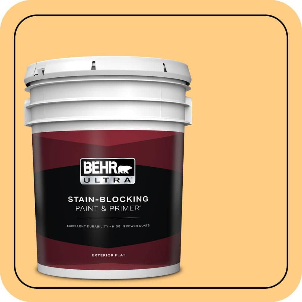 BEHR ULTRA 5 gal. #P250-4 Equatorial Flat Exterior Paint & Primer