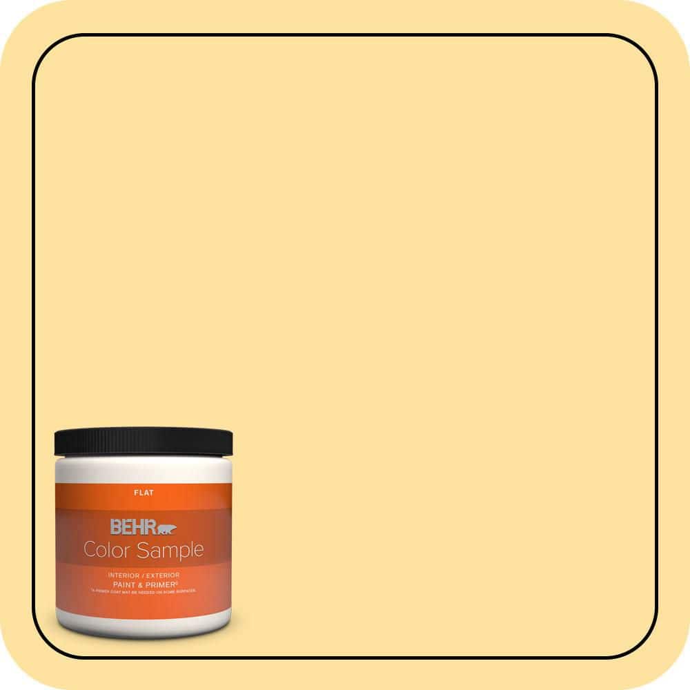 BEHR PREMIUM PLUS #P280-3 Polka Dot Skirt Enamel & Primer Color Sample (1)