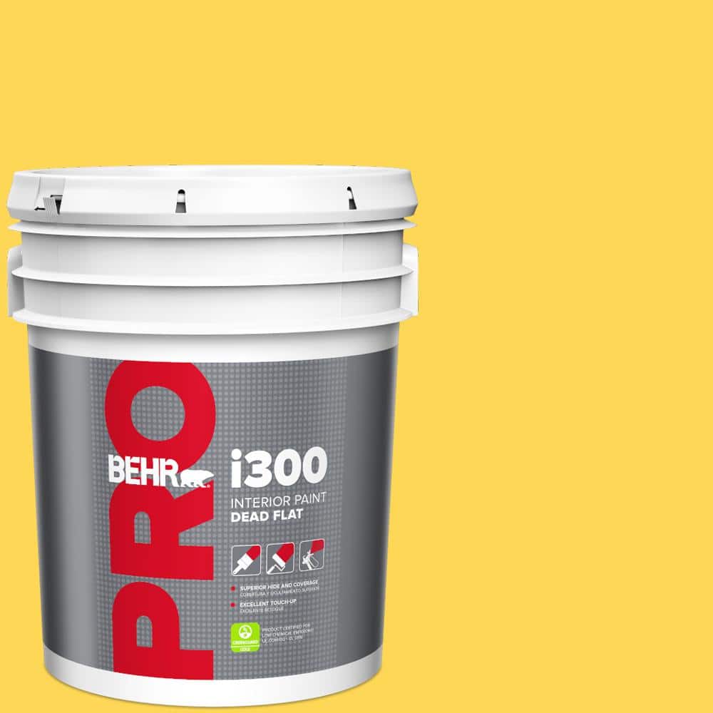 BEHR PRO 5 gal. #P300-6 Buzz-in Dead Flat Interior Paint