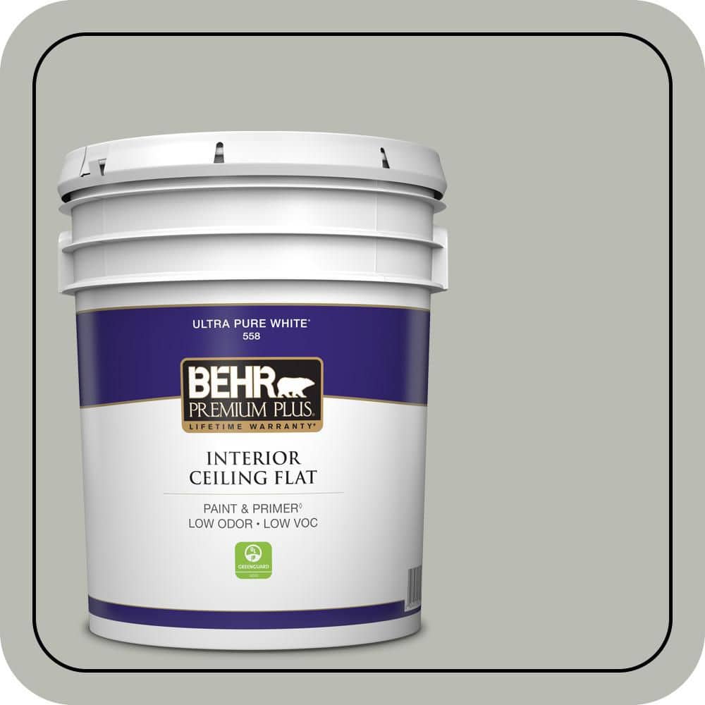 BEHR PREMIUM PLUS 5 gal. #N380-3 Weathered Moss Ceiling Flat Interior Paint & Primer (1)