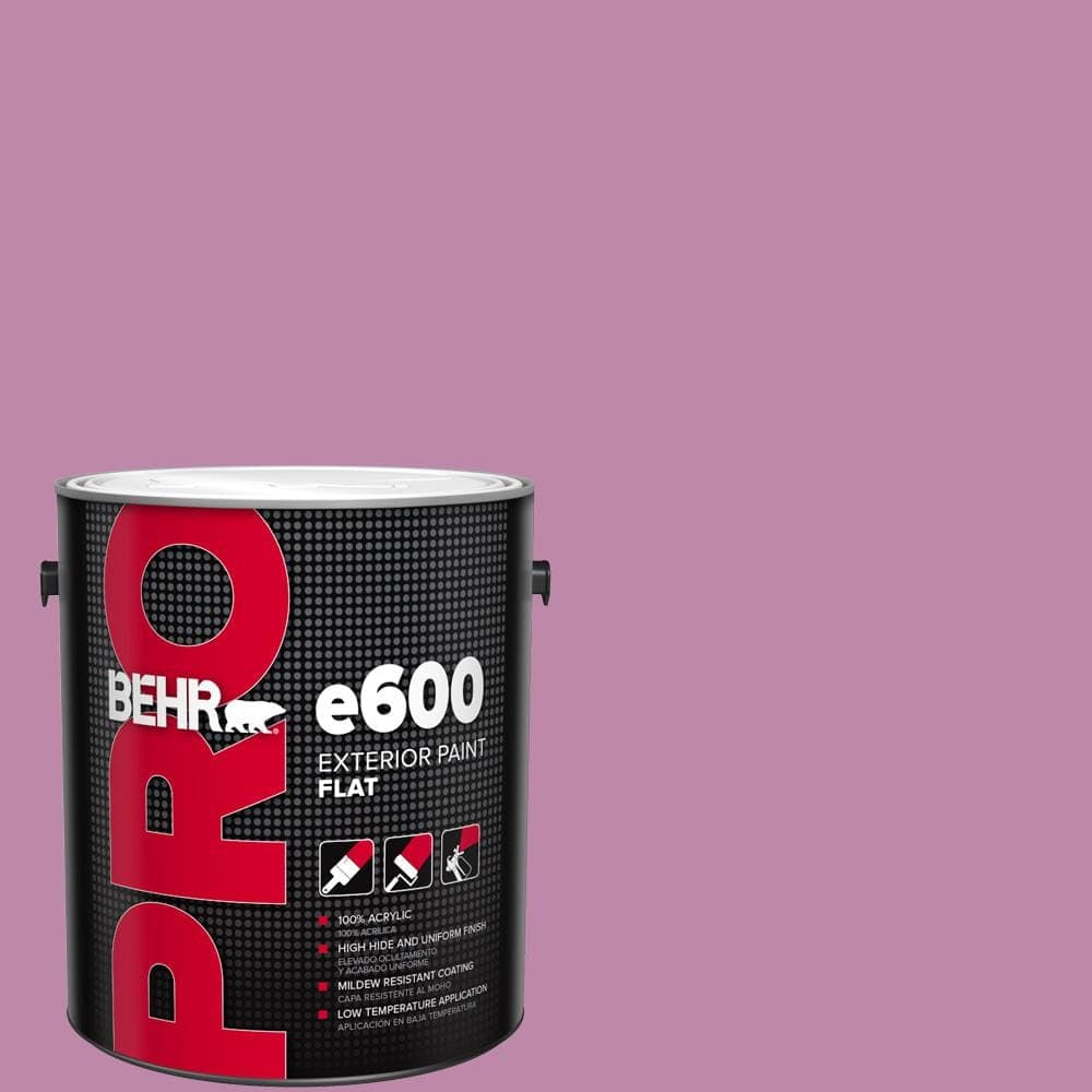 BEHR PRO 1 gal. #M120-5 Rosy Flat Paint