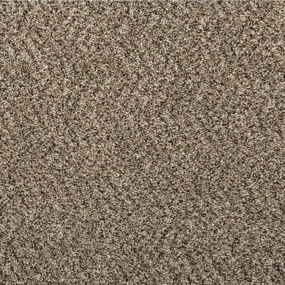 TrafficMaster Comfort Times-Brown-Brown 12 ft. Wide x Cut to Length 29 oz. Polyester Texture Carpet (2)