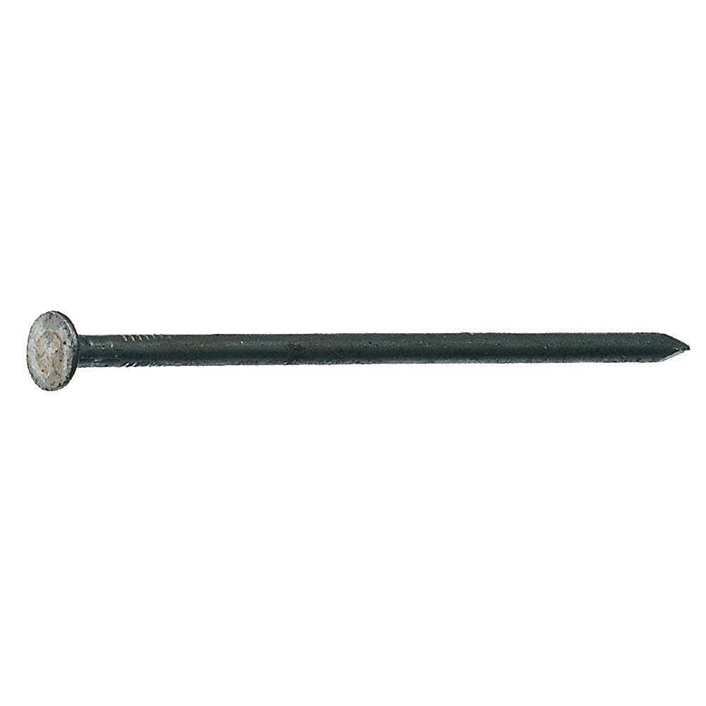Grip-Rite 2-1/2 in. x 11-1/2-Gauge 8-penny Bright Steel Smooth Shank Box Nails 1 lb. Box (3)