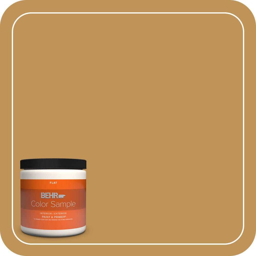 BEHR PREMIUM PLUS #T12-5 Lone Star Flat Interior/Exterior Paint & Primer Color Sample (1)