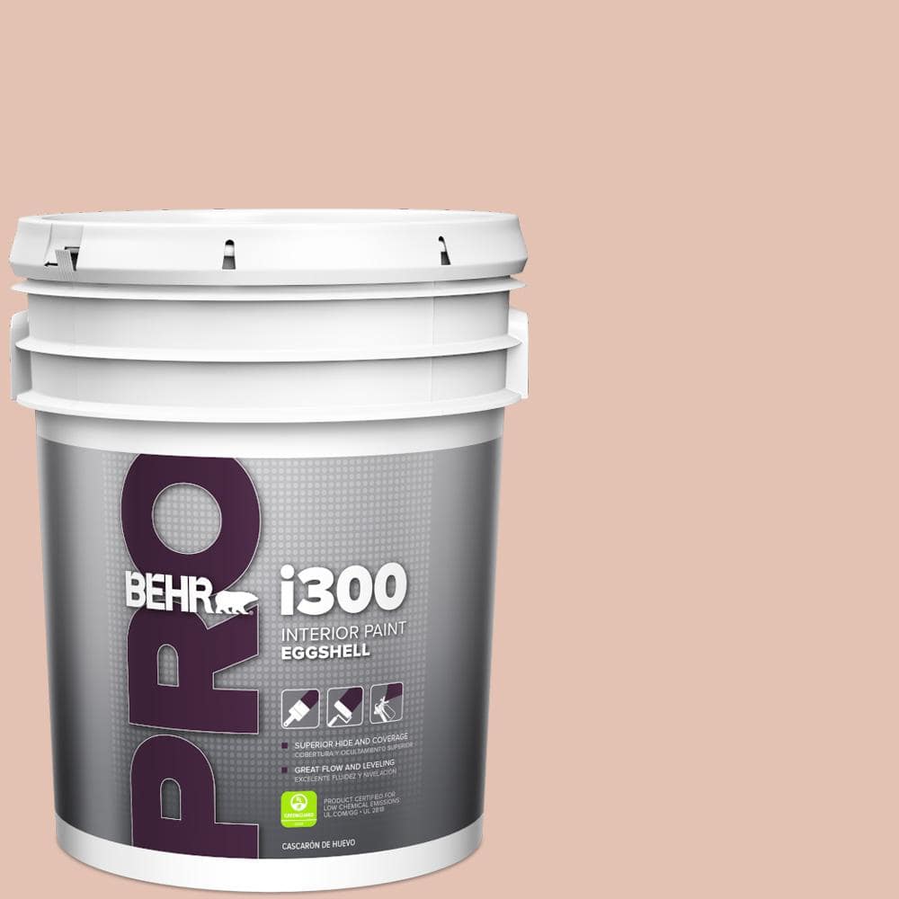 BEHR PRO 5 gal. #S180-2 Sunwashed Brick Eggshell Interior Paint (1)