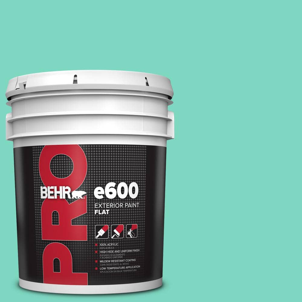 BEHR PRO 5 gal. #480A-3 Mint Majesty Flat Exterior Paint