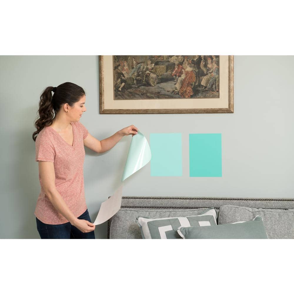 SureSwatch 9 in. x 12 in. Paint Swatches (50-pack) (2)