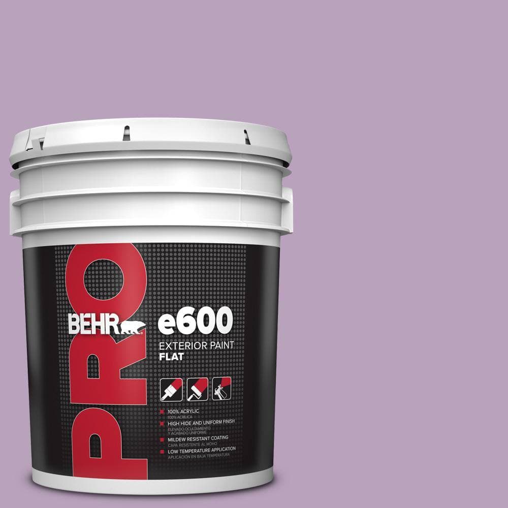 BEHR PRO 5 gal. #M100-3 Svelte Flat Exterior Paint