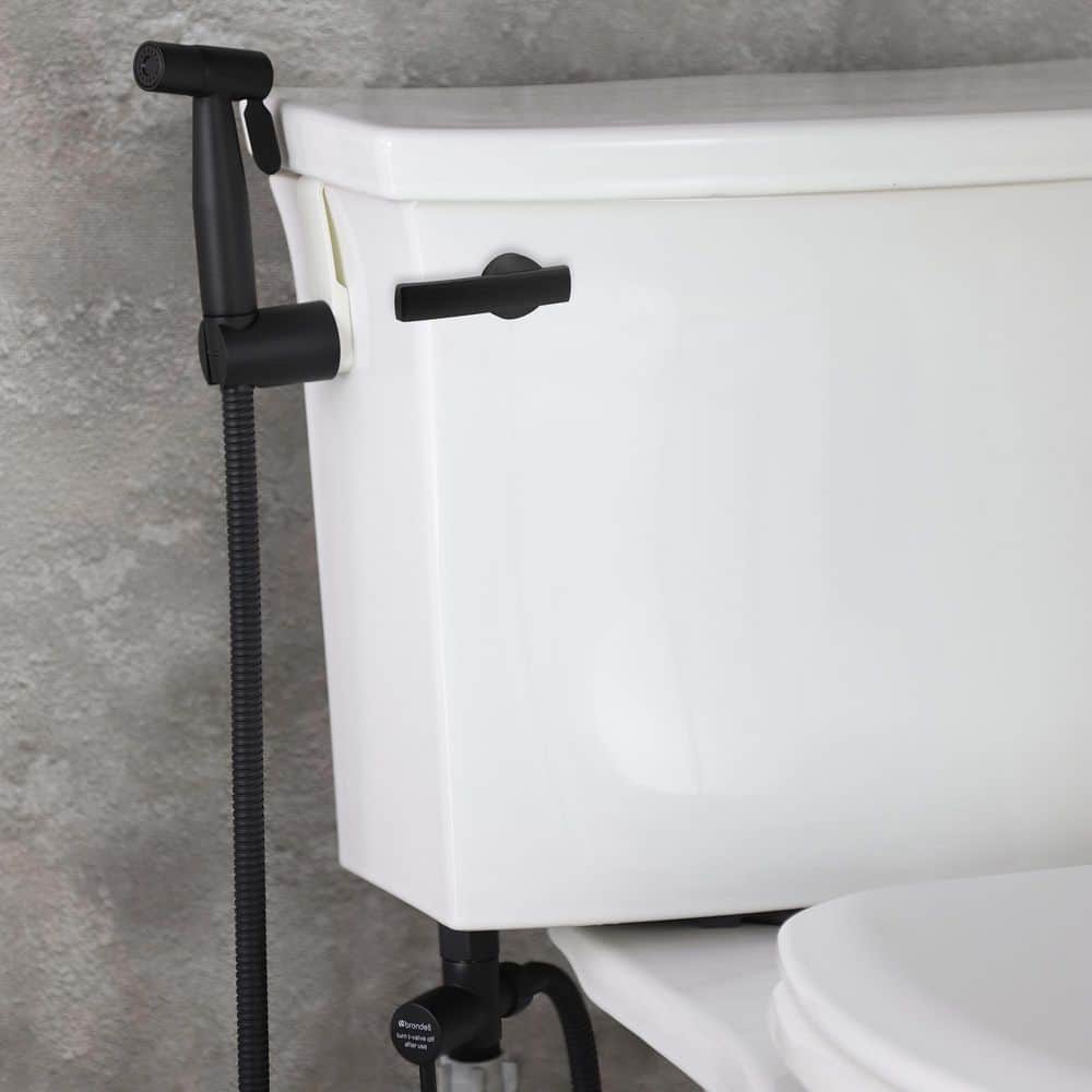 Brondell CleanSpa Luxury Stainless Steel Non-Electric Handheld Bidet Attachment in Matte Black (2)