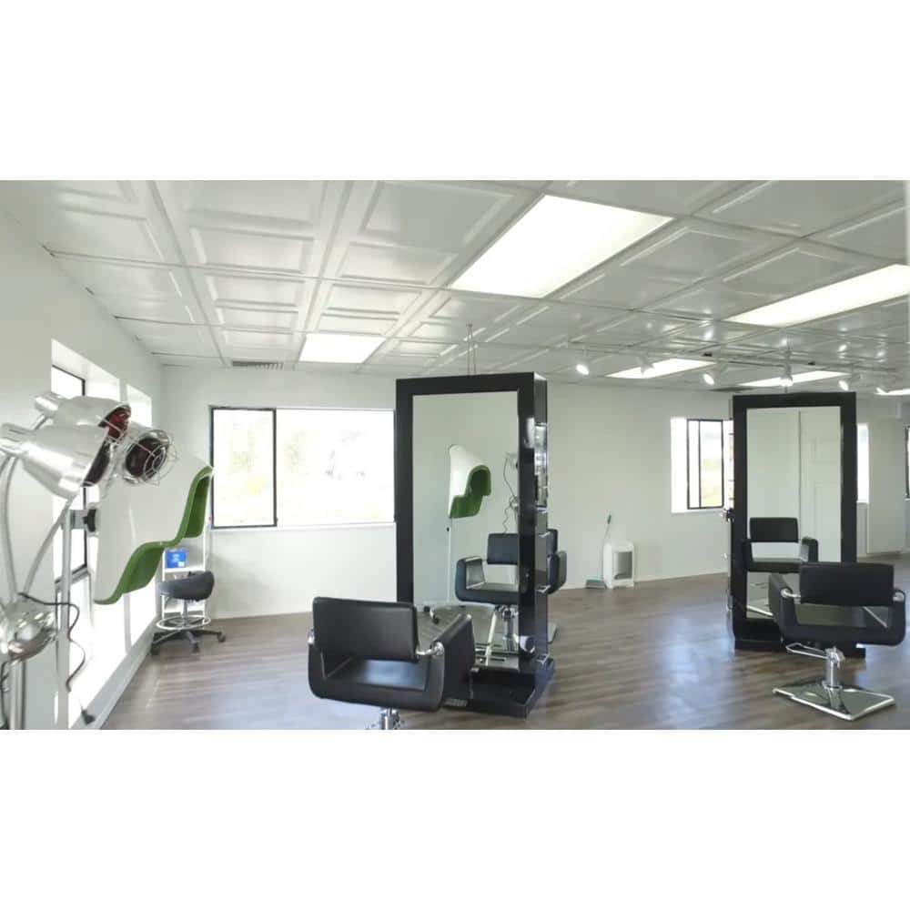 FROM PLAIN TO BEAUTIFUL IN HOURS Raised Panel White Matte 2 ft. x 2 ft. PVC Lay-in Faux Tin Ceiling Tile (100 sq. ft./case) (2)