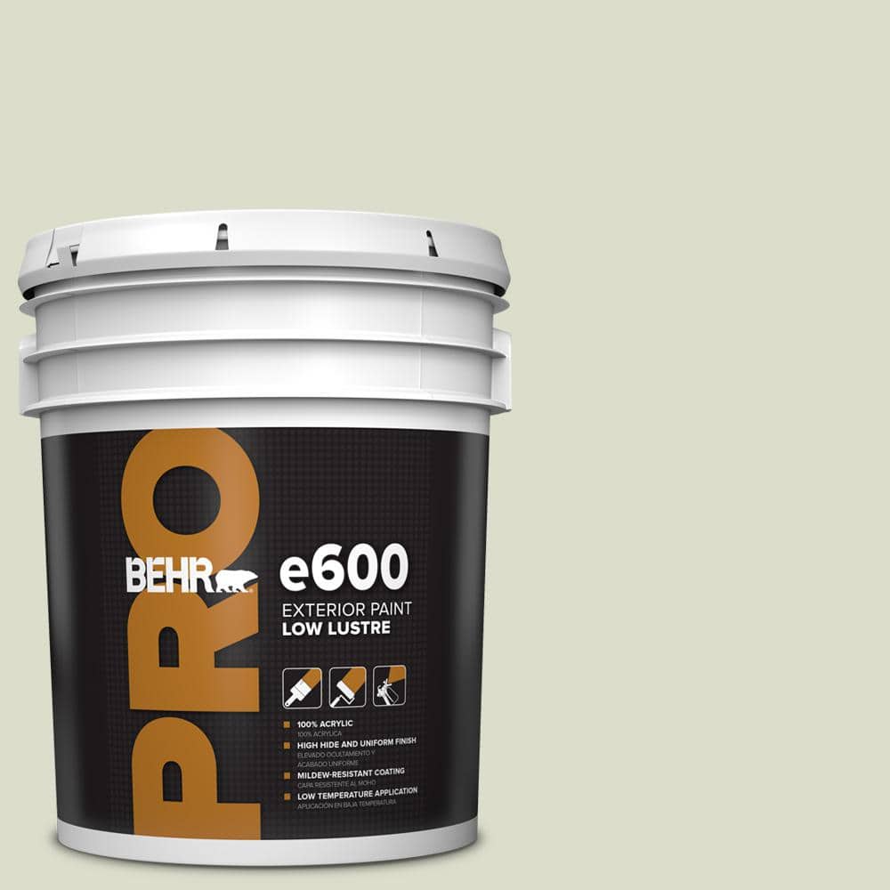 BEHR PRO 5 Gal. #PPU10-15 Desert Springs Low Luster Exterior Paint