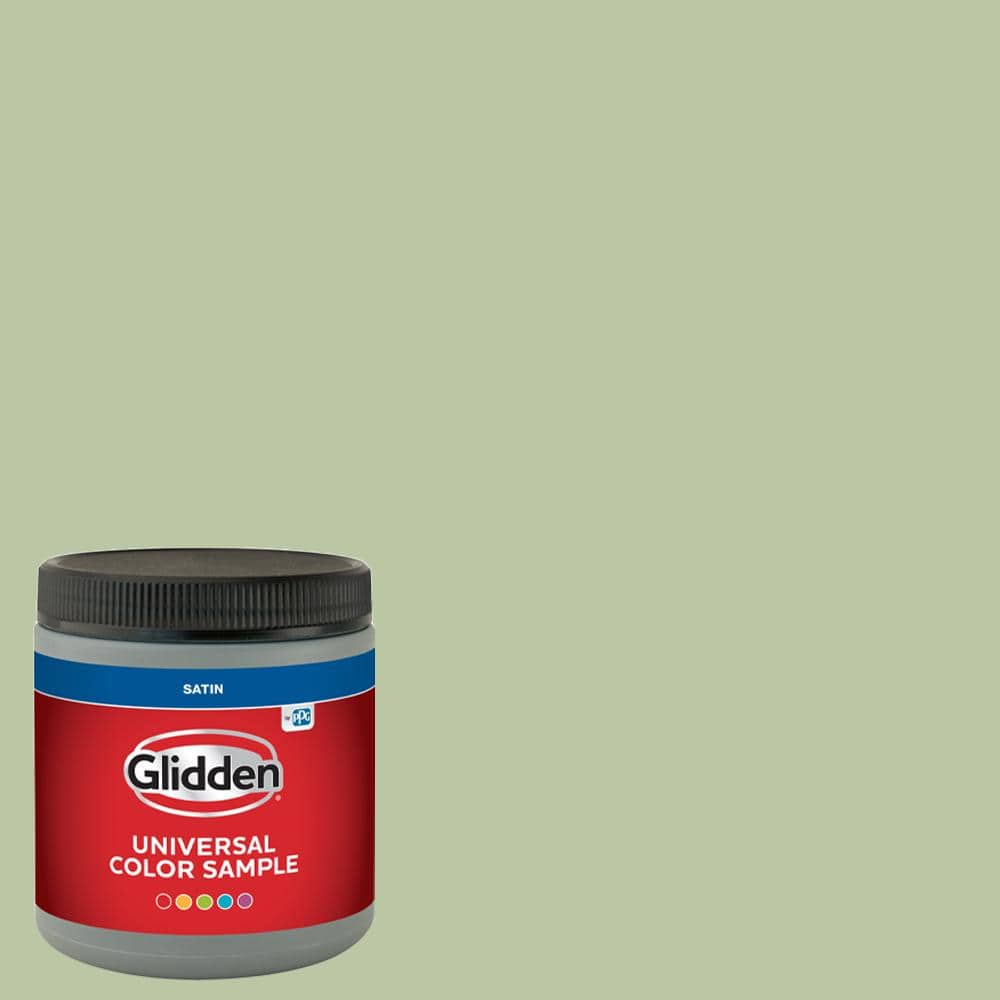 Glidden PPG1121-4 Quaking Grass Sample (1)